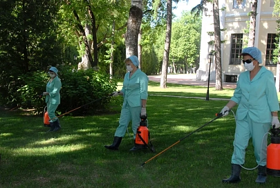 До открытия первой смены территории загородных лагерей обработали от клещей
